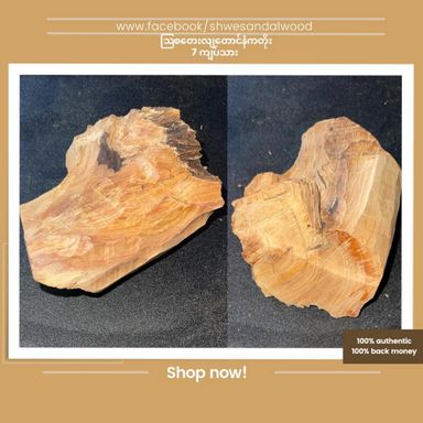 Shwe Sandalwood_ဩစတေးလျ တောင်နံကတိုး