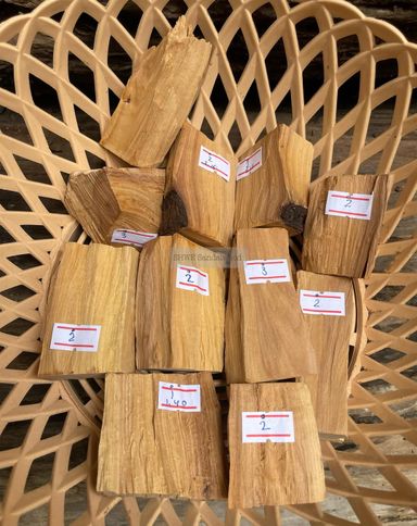 Shwe Sandalwood_ဩစတေးလျ တောင်နံကတိုး