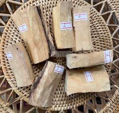 Shwe Sandalwood_ဩစတေးလျ တောင်နံကတိုး