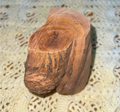Shwe Sandalwood_ဩစတေးလျ တောင်နံကတိုး