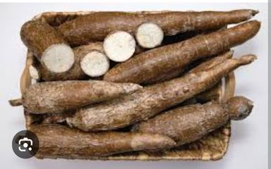 Cassava