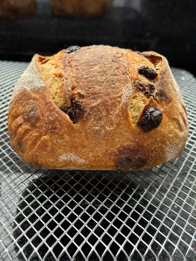 Chocolate Chip Mini Sourdough Loaf