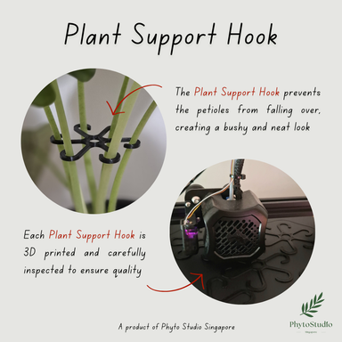 PROMOTION: 6pcs 60mm Plant Support Hook