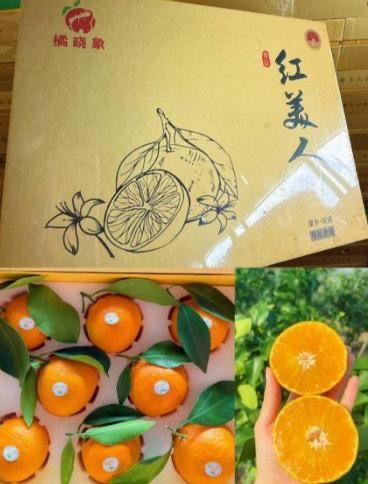 Red Beauty 红美人 Mandarin Oranges