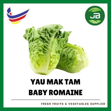 BABY ROMAINE ( YAU MAK ) 香旦