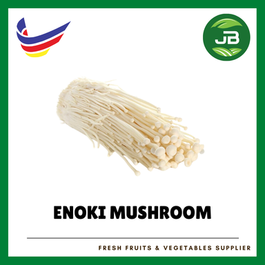 ENOKI 