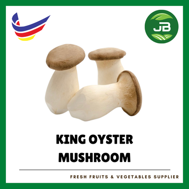 KING OYSTER