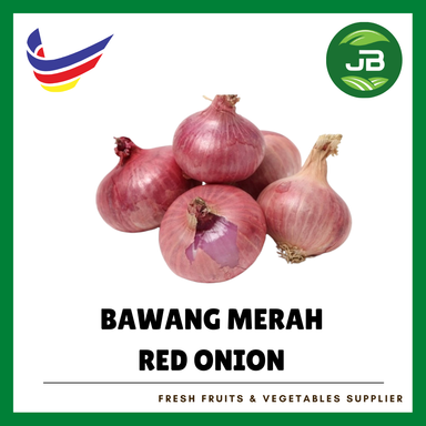 BAWANG MERAH 大葱 CHINA