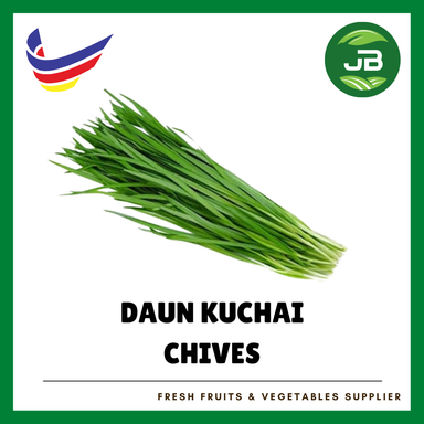 DAUN KUCAI 韭菜