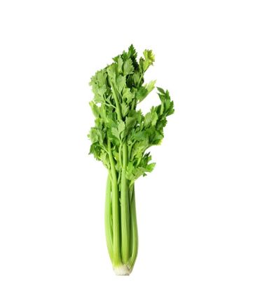 Céleri / Celery