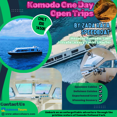 Komodo One Day Open Trips by Zada Raya Speedboat