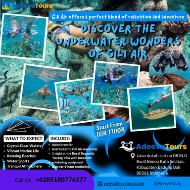 Discover the Underwater Wonders of Gili Air