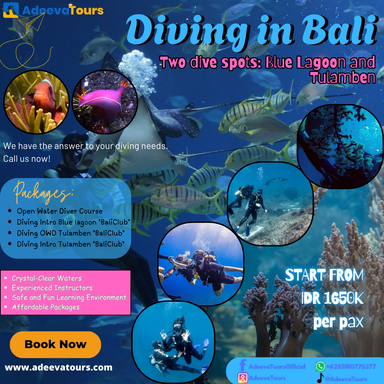 Diving in Bali