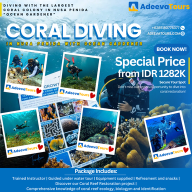 Diving with The Largest Coral Colony in Nusa Penida “Ocean Gardener”