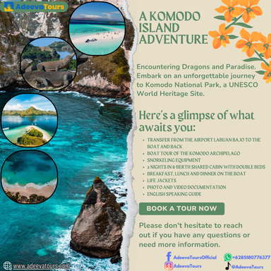 A Komodo Island Adventure