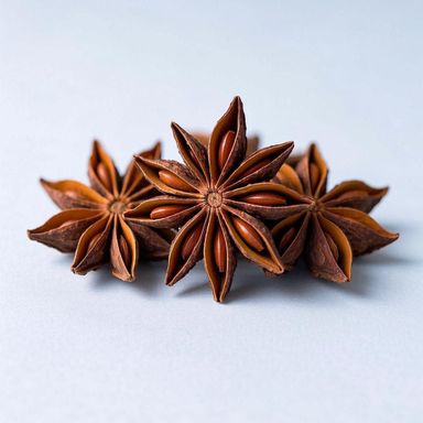 Bunga Lawang / Star Anise