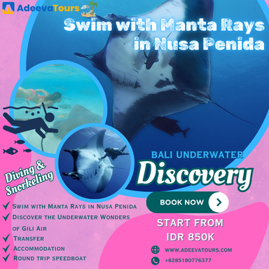 Swim with Manta Rays in Nusa Penida