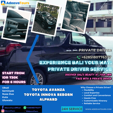 Experience Bali Your Way: Private Driver Service