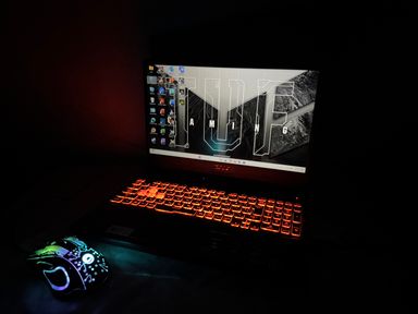 ASUS TUF Gaming A15 FA506II Ryzen 5