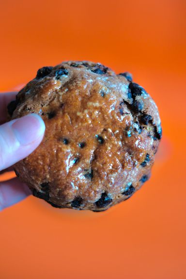 Choco Chip Scone