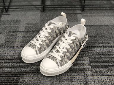 Dior Sneaker