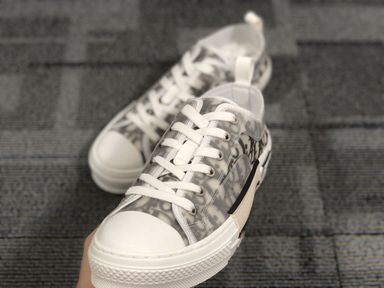 Dior Sneaker