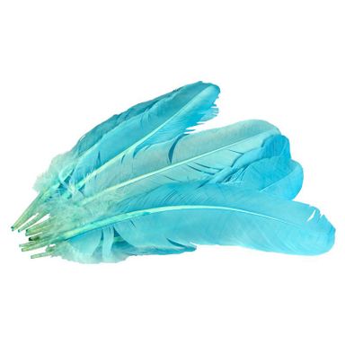 Pluma de Gallo Azul Cielo 10gr (9 Plumas 17cm)   