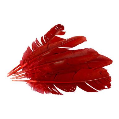 Pluma de Gallo Roja 10gr (9 Plumas 17cm)    