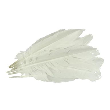 Pluma de Gallo Blanca 10gr (9 Plumas 17cm)     