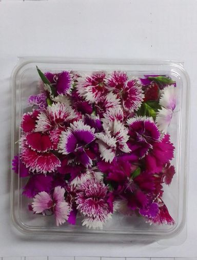 Edible flowers 100g