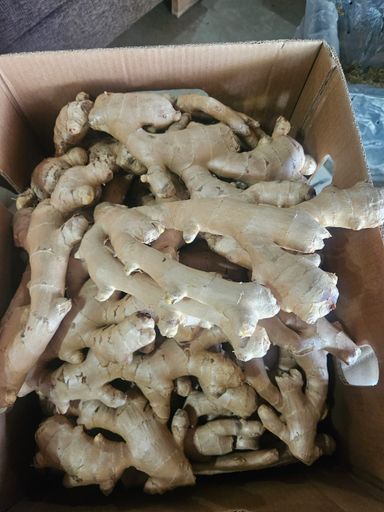 200g fresh ginger