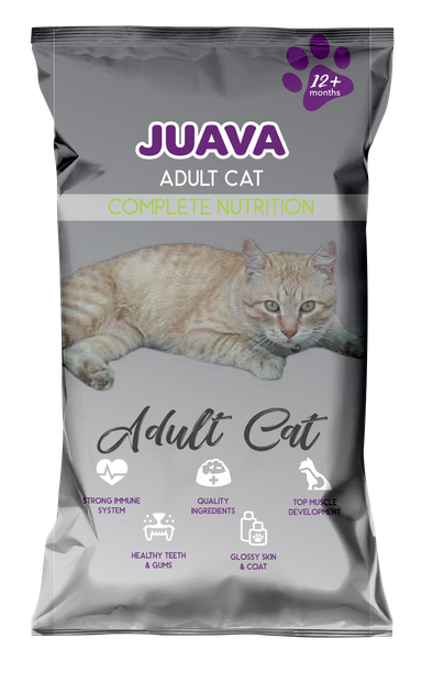 Juava Adult Cat