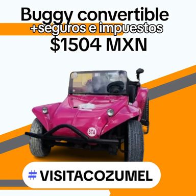 Buggy abierto, estándar o automático, sin clima