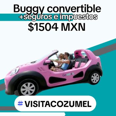 Buggy abierto, estándar o automático, sin clima