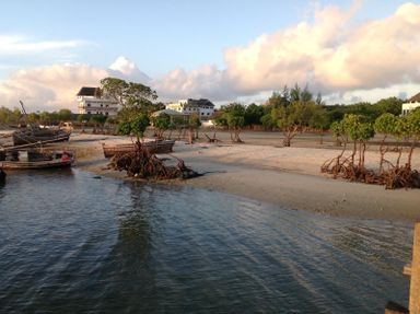 1 bedroom beachfront apartment available in Lamu Bed and breakfast