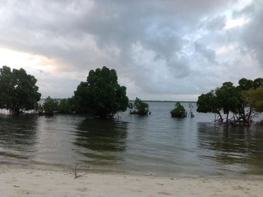 1 bedroom beachfront apartment available in Lamu Bed and breakfast