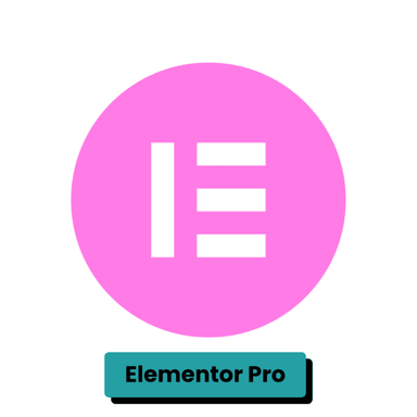 Elementor Pro