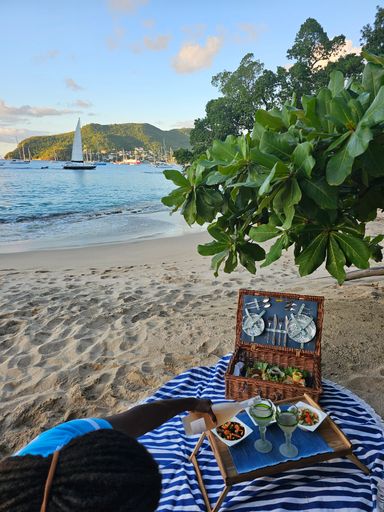  Premium Cannabis Infused Vintage Beach Picnic Hamper