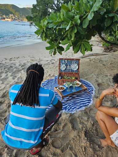  Premium Cannabis Infused Vintage Beach Picnic Hamper