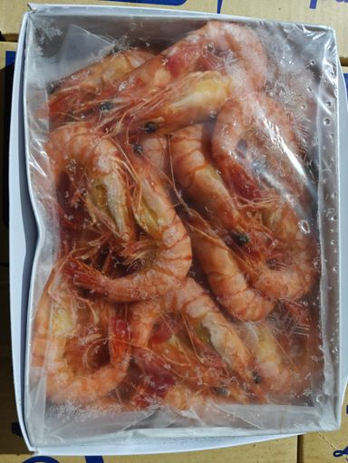 Cooked Tiger Prawn 26/30 HOSO (Head On Shell On) 1kg