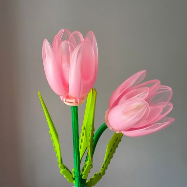 Pink Tulips