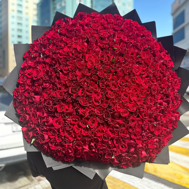 500 Premium Red Roses