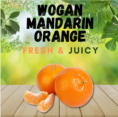 WOGAN MANDARIN ORANGE