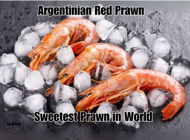 Sashimi Grade Frozen Argentinian Red Shrimps Whole Head on Raw Medium 30/40pcs~ 2kg 