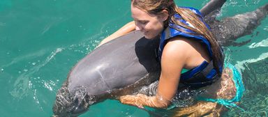 Dolphin Encounter (Not Swimming)