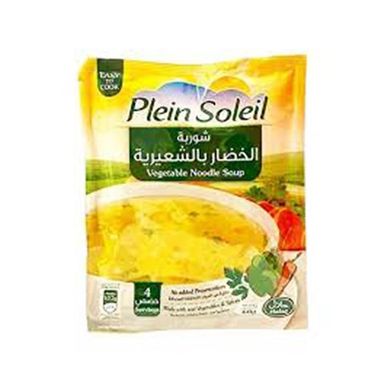 PLEIN SOLEIL VEGETABLE NOODLE SOUP