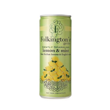 Lemon & mint sparkling water 