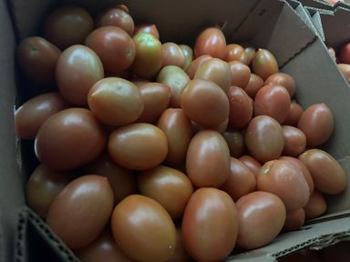 Roma tomato 25 lb