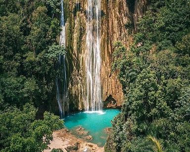 Whales watching, Bacardi Island and Limon waterfall 