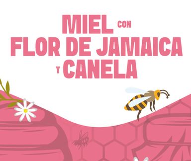 MIEL CON INFUSIÓN DE JAMAICA Y CANELA